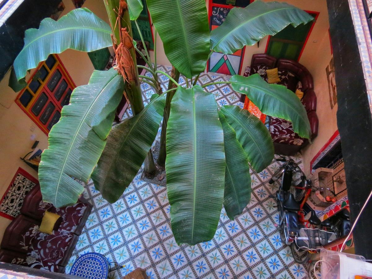 Riad Espagne Marrakesh Exteriör bild
